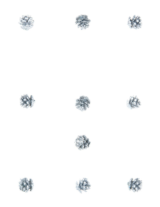 Vue d'ensemble des 10 mini pommes de pin pailletées de Noël argentées