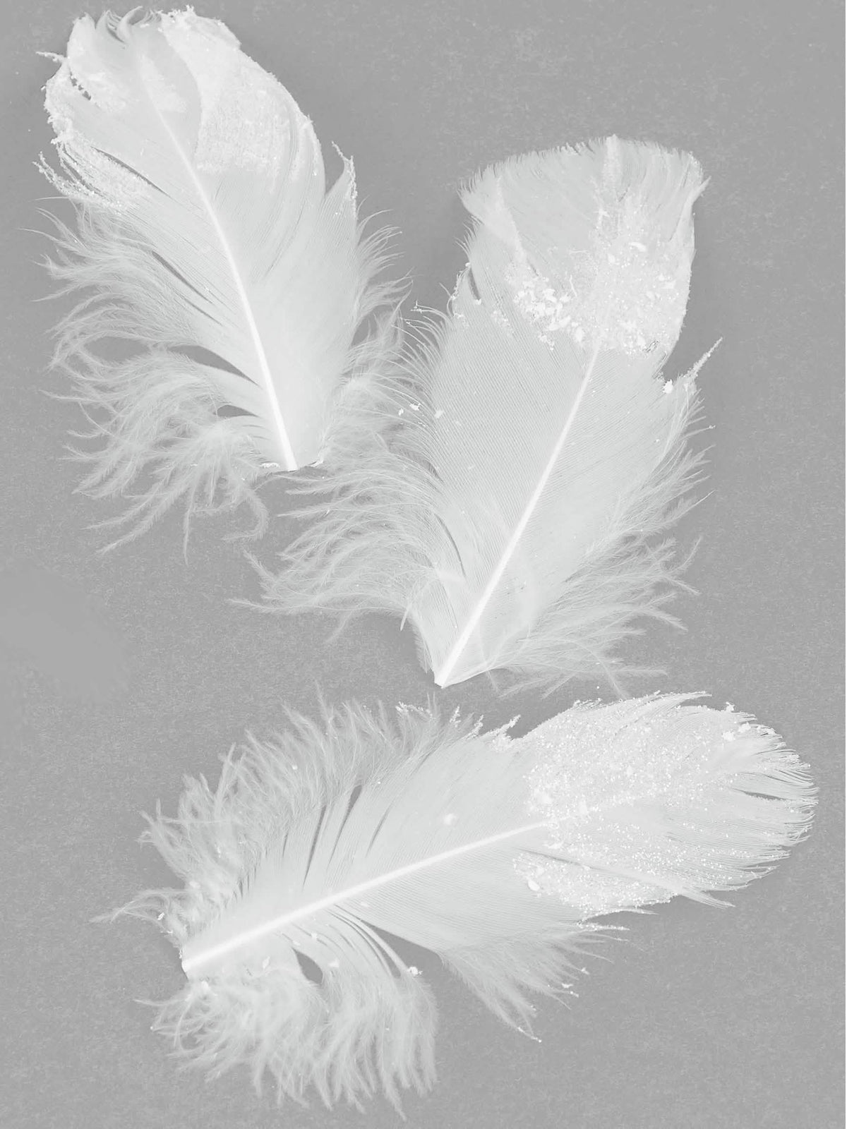 Plumes pailletées pour décoration blanches scintillantes