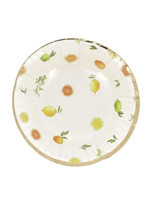 8 Fizz Zitrus-Pappschalen, Creme, Orange, Gelb und Gold, 13,5cm, Fruchtdekor