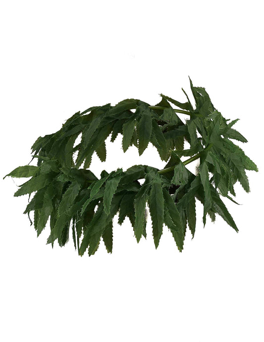 Vue de face du bandeau feuilles tropicales