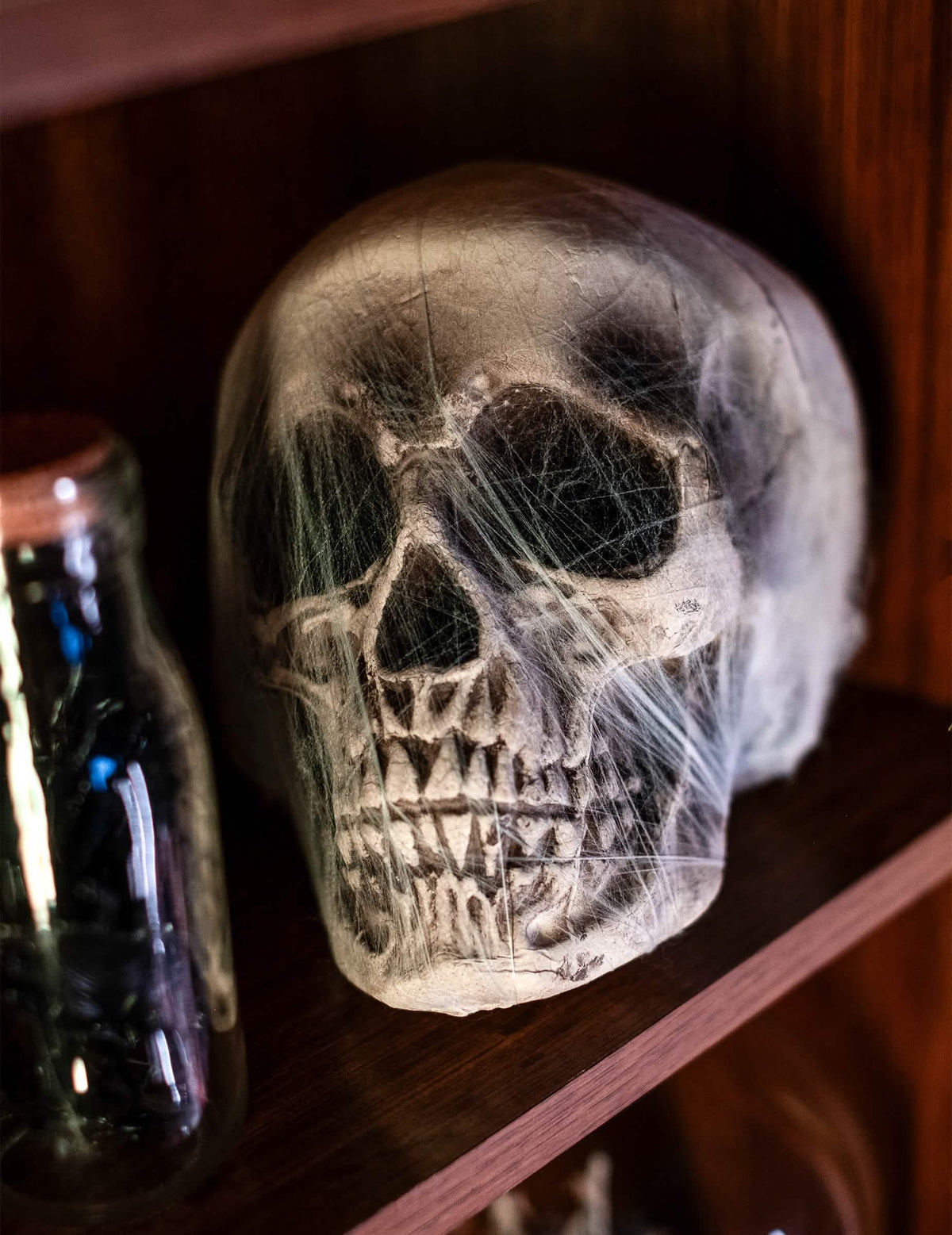Vue de trois-quarts de la décoration crâne avec toile d'araignée