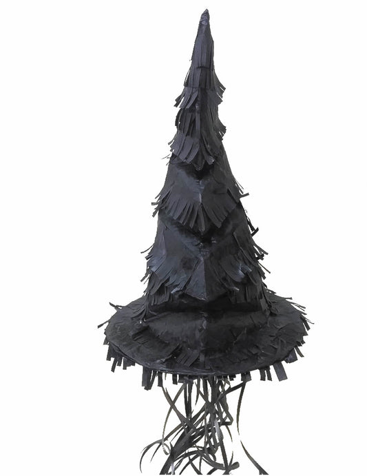 Vue d'ensemble de la pinata chapeau apprenti sorcier