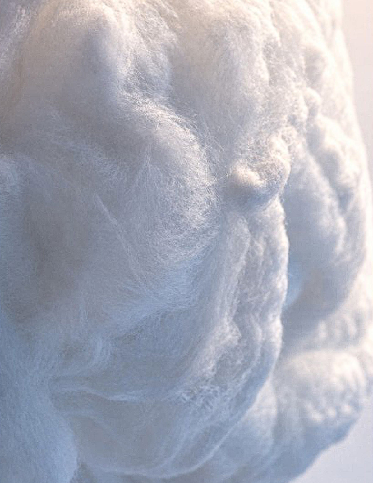 Toile d'araignée blanche luxe 240 g
