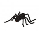 Halloween-Spinne