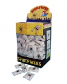 Halloweenspinne und ihr Netz