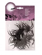 Spinnen-Set für Halloween