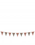 Piraten-Banner
