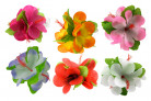 Haarspange - Blume Hawaii