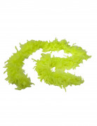 Fluo-gelbe Federboa