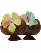 Schale Hawaii Kokosnuss