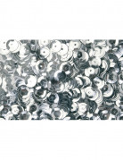 Silber Pailletten für Weihnachten