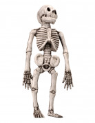 Skelett-Dekoration Halloween
