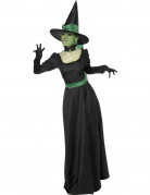 Hexen-Kostüm Halloween für Damen