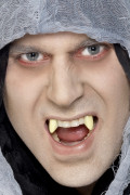 Halloween-Vampirgebiss f�r Erwachsene