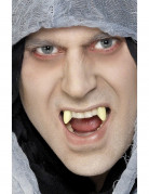 Leuchtende Vampirz�hne