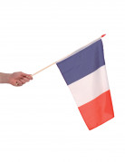 Frankreich Fahne