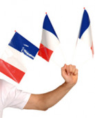 Fanflagge Frankreich 25er Pack