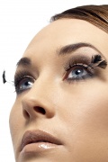 Falsche, schwarze Wimpern mit Feder auf der Seite