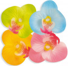 Falsche Blütenblätter Hawaii