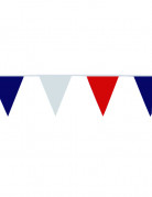 Fan-Wimpelgirlande Tricolore
