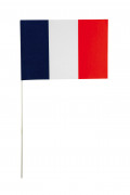 10er-Set von Fan-Flaggen Frankreich