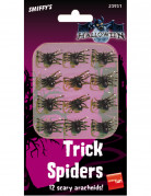 Set ausvon 12 Halloween-Spinnen