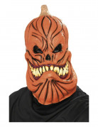 Maske eines gruseligen K�rbis