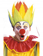 Bunte Clown Per�cke