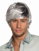 Per�cke graumeliert f�r Herren