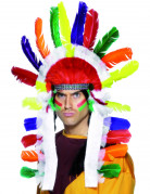 Indianerfeder