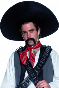 Mexikanischer Sombrero für Erwachsene