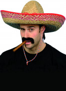 Mexikanischer Sombrero für Erwachsene.