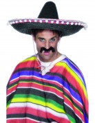 Mexikanischer Sombrero für Erwachsene