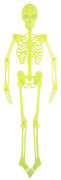 Bewegliches Dekorationsskelett f�r Halloween