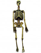 Halloween-Skelett, 150 cm