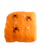 Oranges Spinnennetz mit Spinne für Halloween