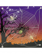 Fluoreszierendes Halloween-Spinnennetz