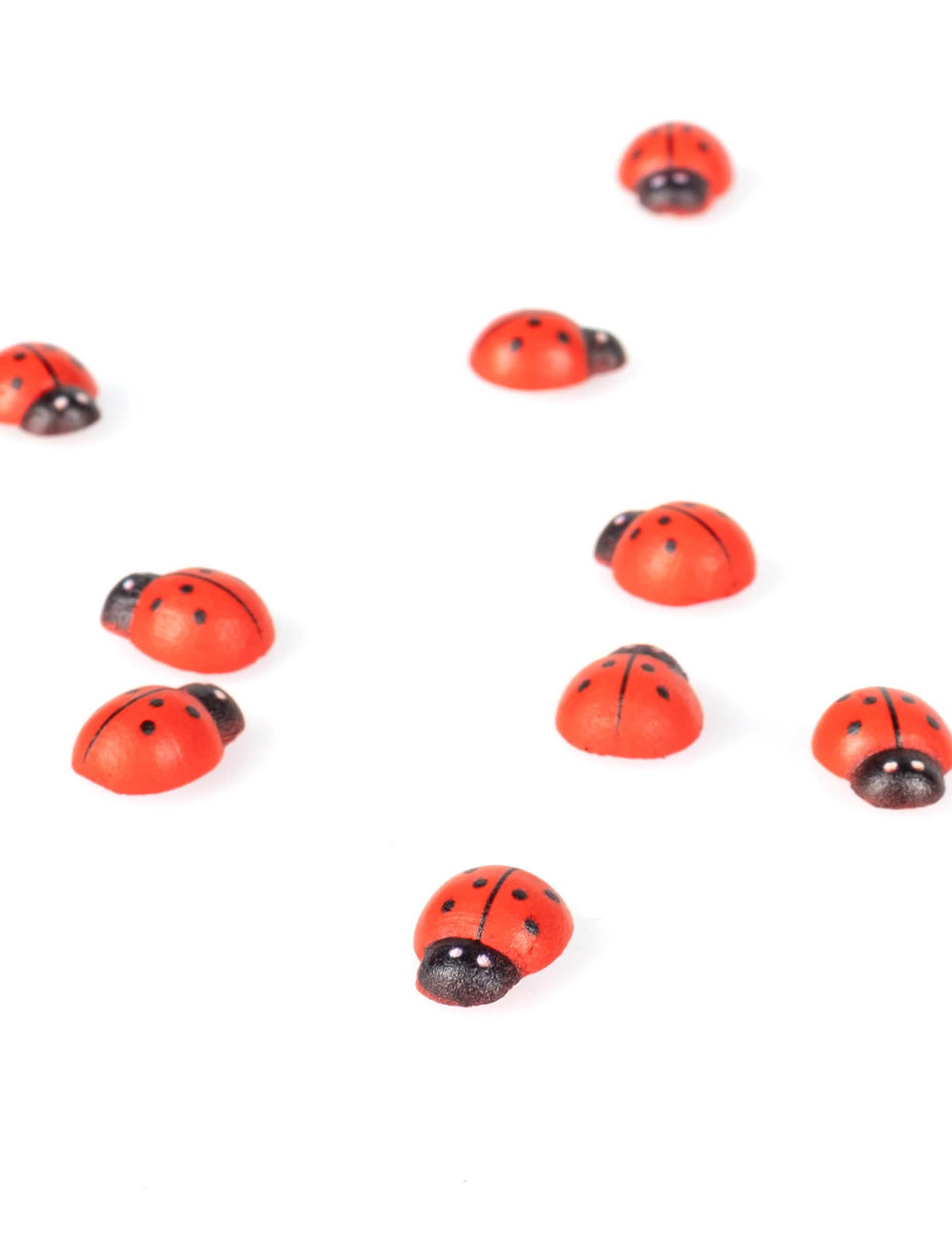 Vue d'ensemble des coccinelles en bois coccinelle