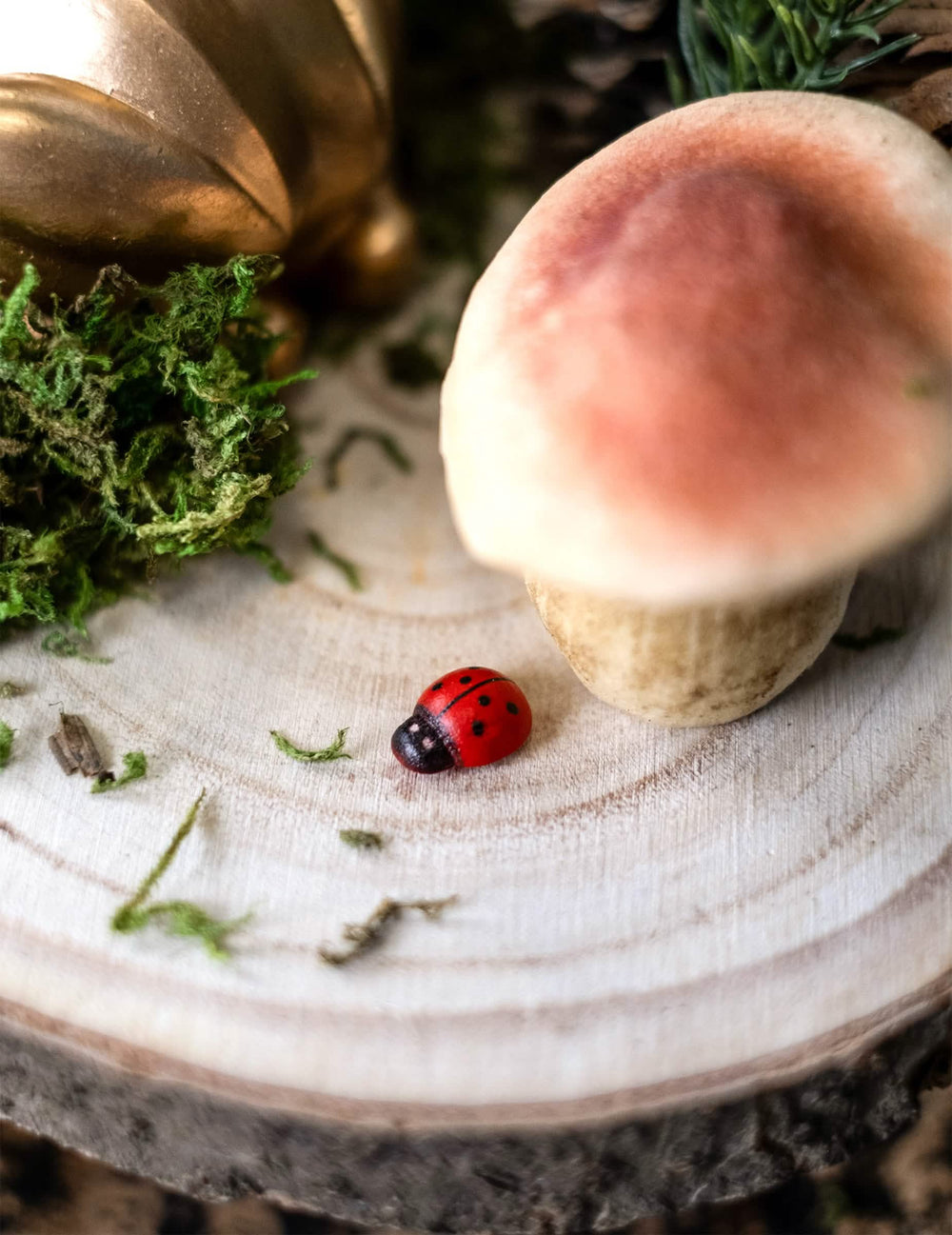 Mise en situation sur un rondin de bois avec champignon des coccinelles en bois coccinelle pour décoration