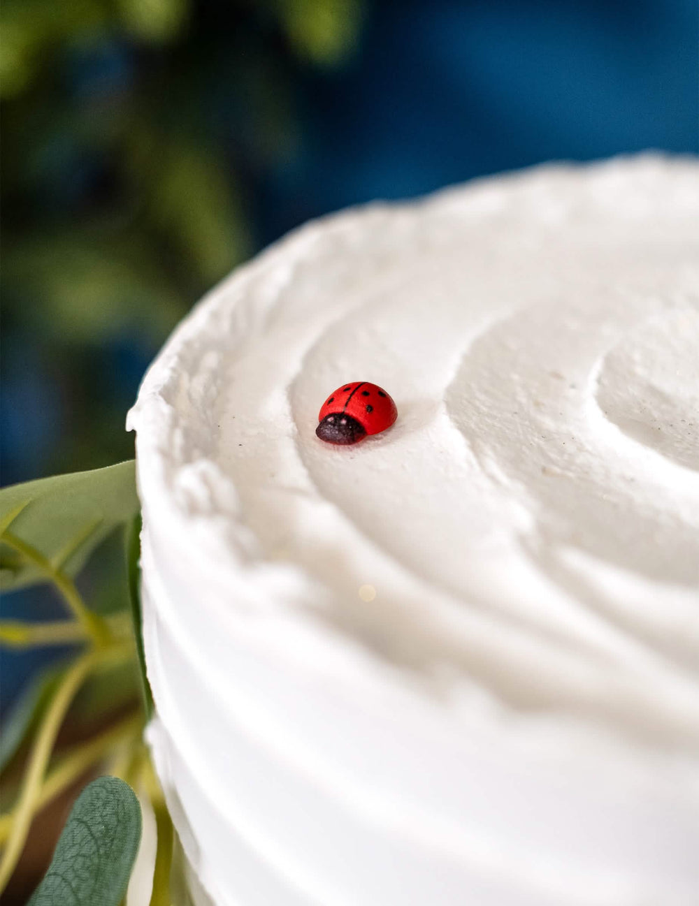 Mise en situation sur un gâteau des coccinelles en bois coccinelle