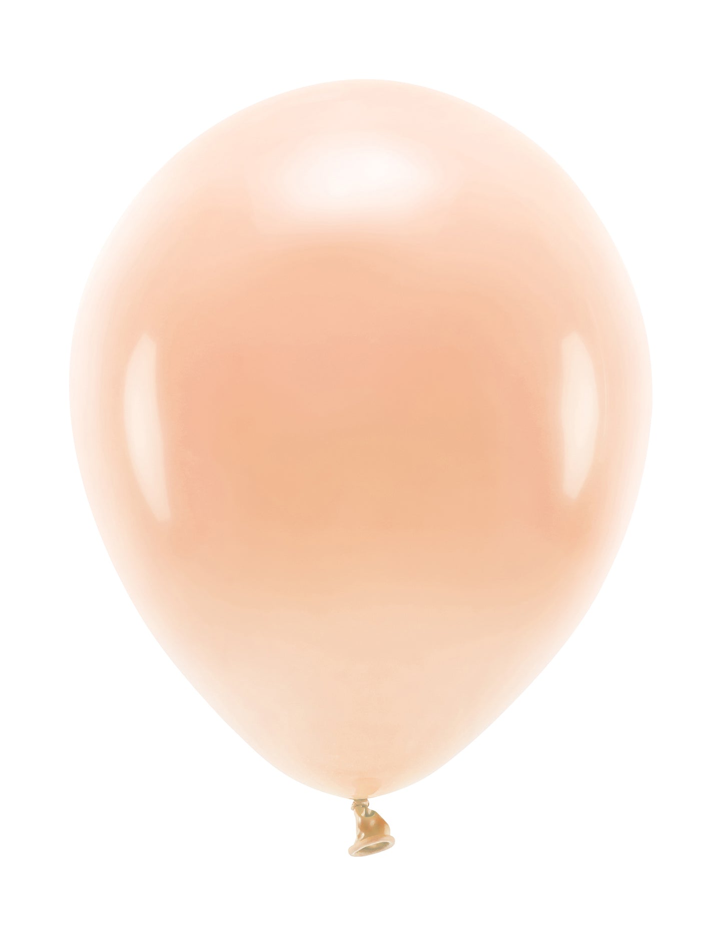 Ballons en latex pastel pour fête pêche