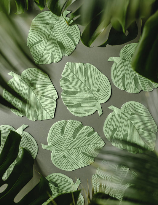 12 Serviettes en papier feuille de monstera vertes 29,1 x 36 cm