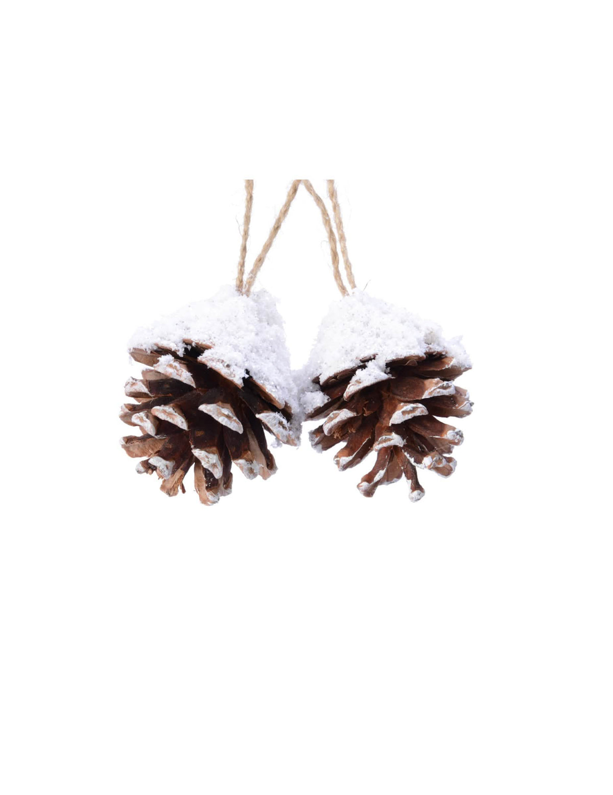Suspensions pommes de pin pour décoration naturelles marron et blanc enneigées