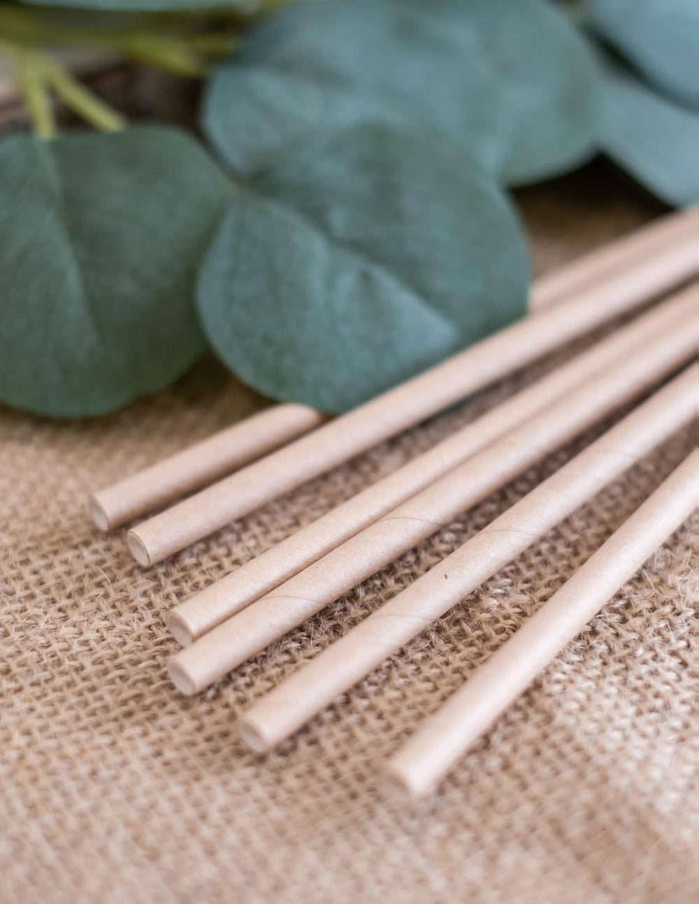 Pailles en carton kraft pour fête marron clair