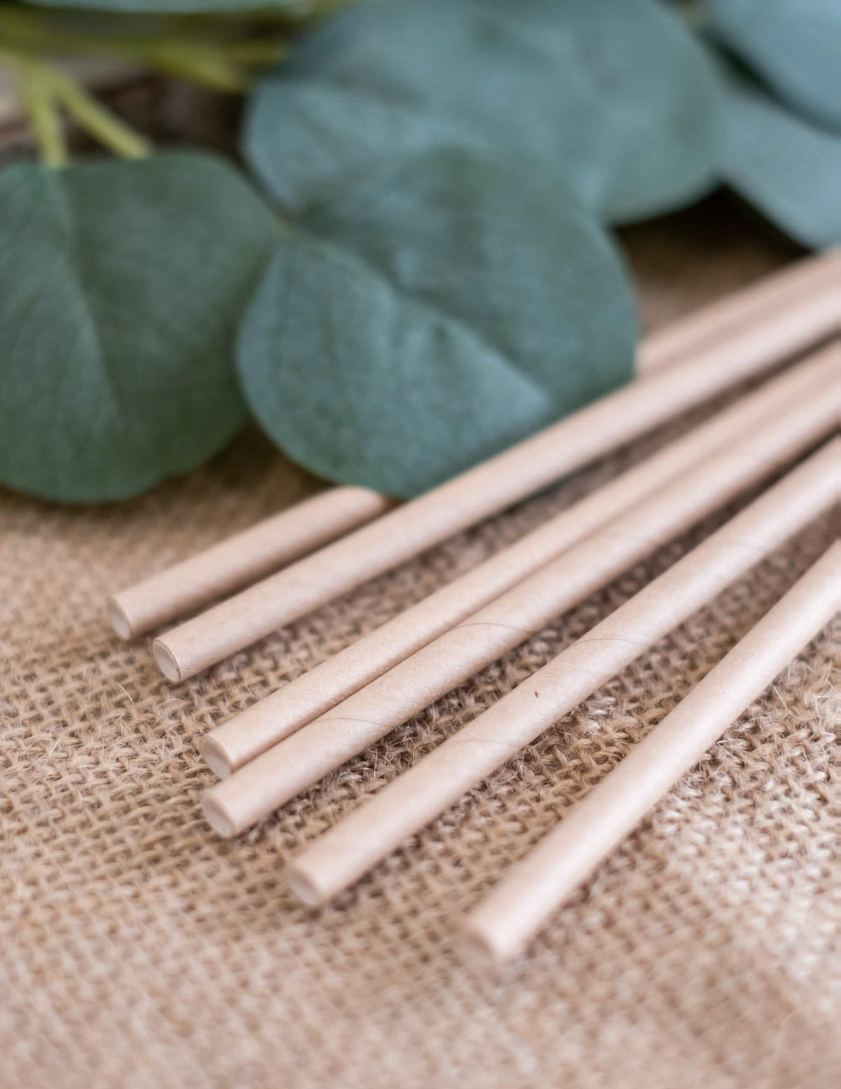 Pailles en carton kraft pour fête marron clair