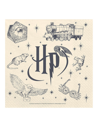 Set mit 20 Harry Potter™ Servietten 33 x 33 cm