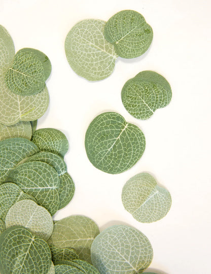 Confettis feuilles d'eucalyptus pour mariage nature en tissu vert