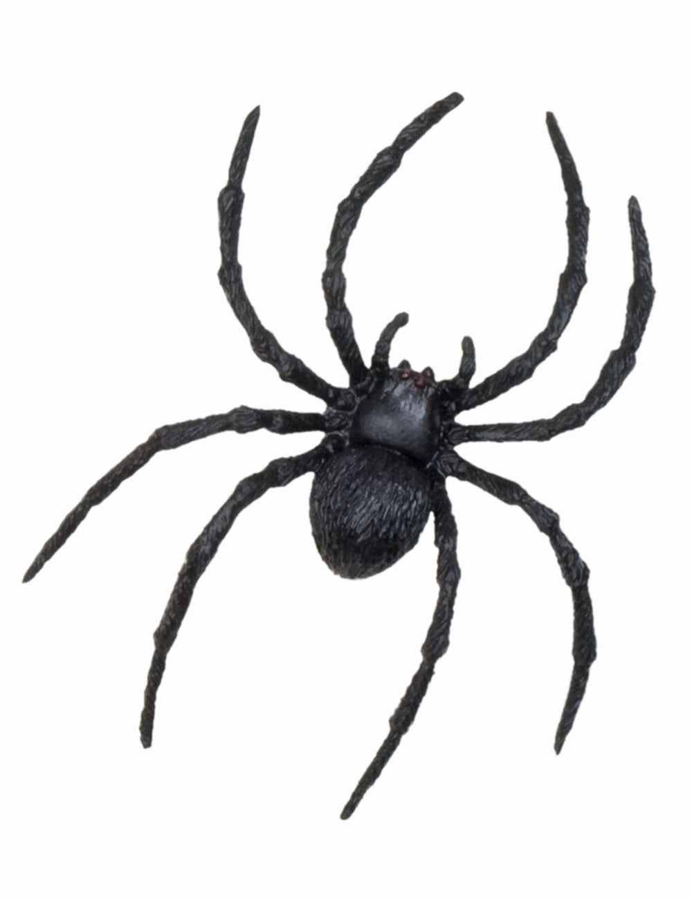 Détail de l'araignée des décorations petites créatures Halloween