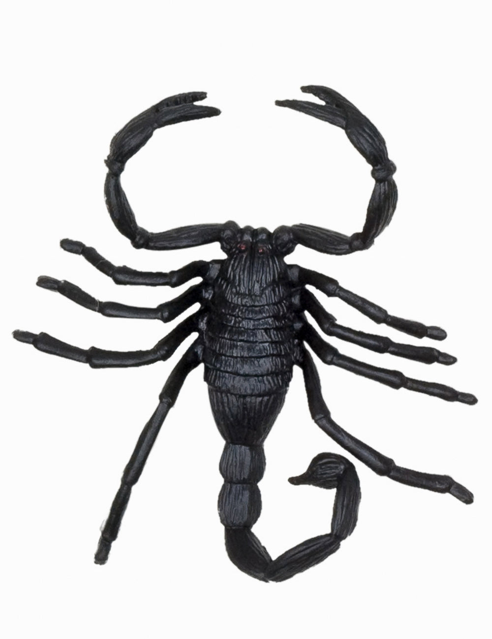 Détail du scorpion des décorations petites créatures Halloween