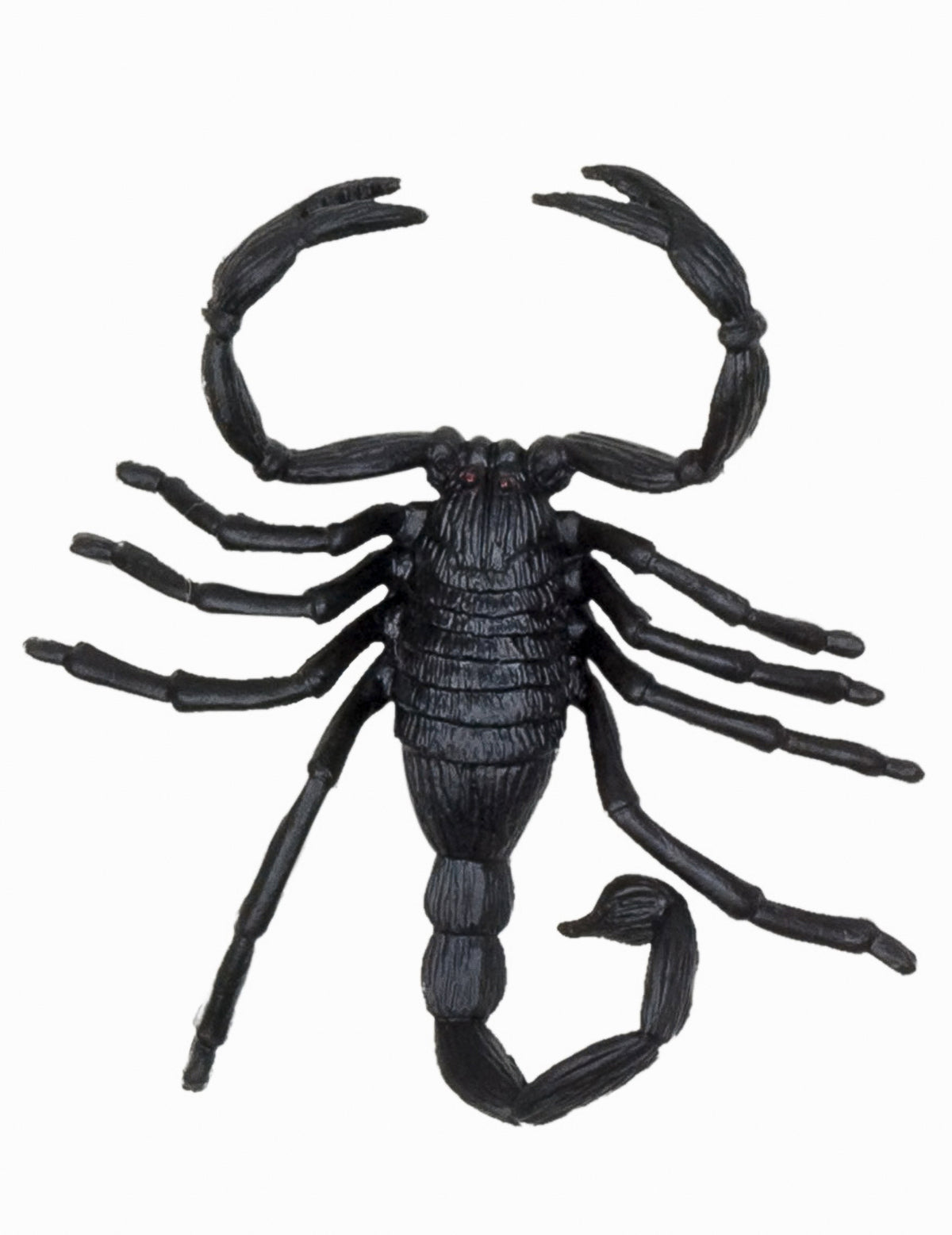 Détail du scorpion des décorations petites créatures Halloween